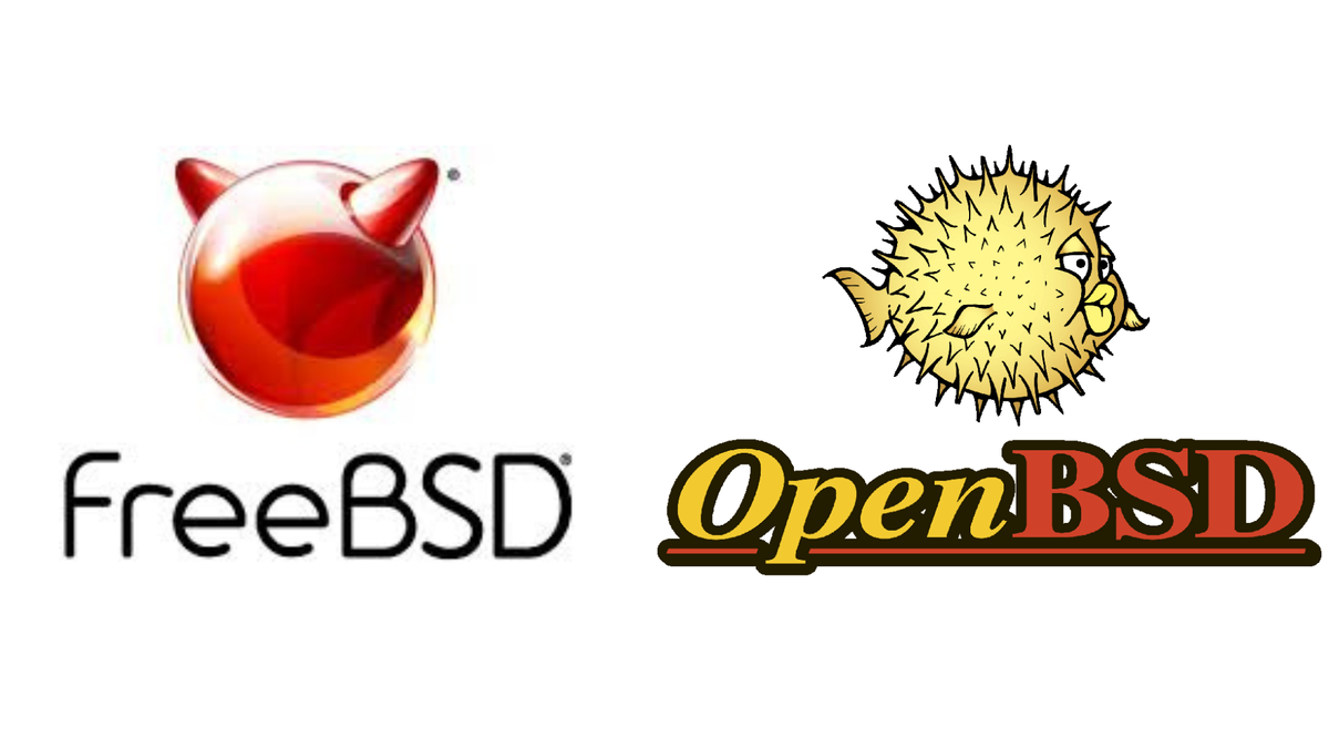 Setting Up pf on FreeBSD for Hosting a Website